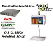 CAS CL5500H 60 LB. Hanging Label Printing Scale with Pole Display and Wireless Communication and Special Power Conditioner.