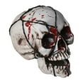 thumbnail image 1 of CASAFUN Halloween Human Skull Model Human Adult Skull Plastic Skull Decor Fake Skull Decorations Realistic Skull Head Decor Head Bone Model Human Skeleton Head Human Skull Statue, 1 of 5