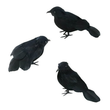 CASAFUN Realistic Crows Headband Halloween Handmade Crow Prop Feathered Black Crows Props Raven Scene Birds Halloween Decoration