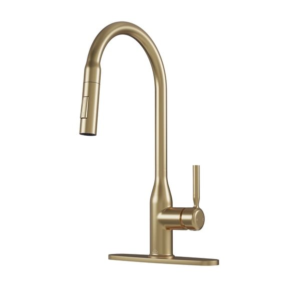 CASAINC Pull Down Sprayer Kitchen Faucet with Advanced Spray and Pull Out Spray Wand in Brushed Gold
