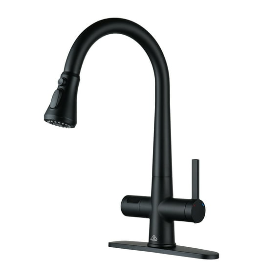 CASAINC Single Handle Kitchen Faucet with Pull Out Sprayer, Deck Mounted, Matte Black