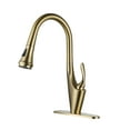 thumbnail image 1 of CASAINC Single Handle Kitchen Faucet with Pull Out Sprayer, Deck Mounted, Brushed Gold, 1 of 4