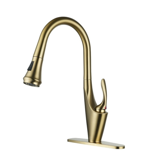CASAINC Single Handle Kitchen Faucet with Pull Out Sprayer, Deck Mounted, Brushed Gold