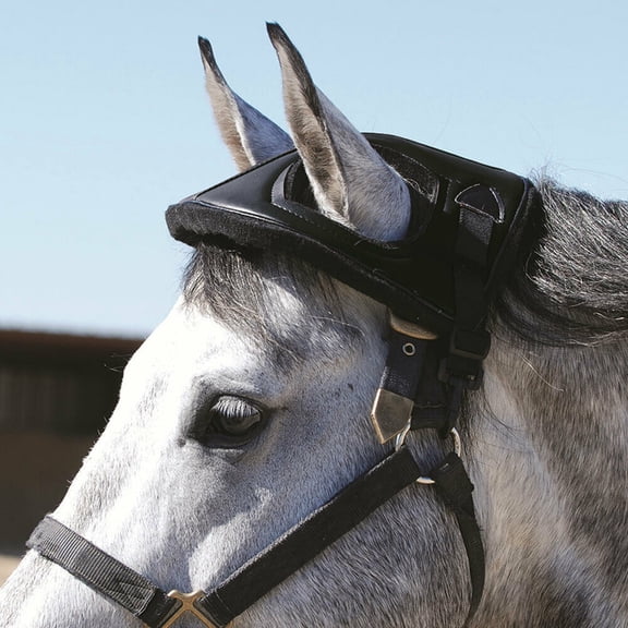 CASHEL Horse Helmet []