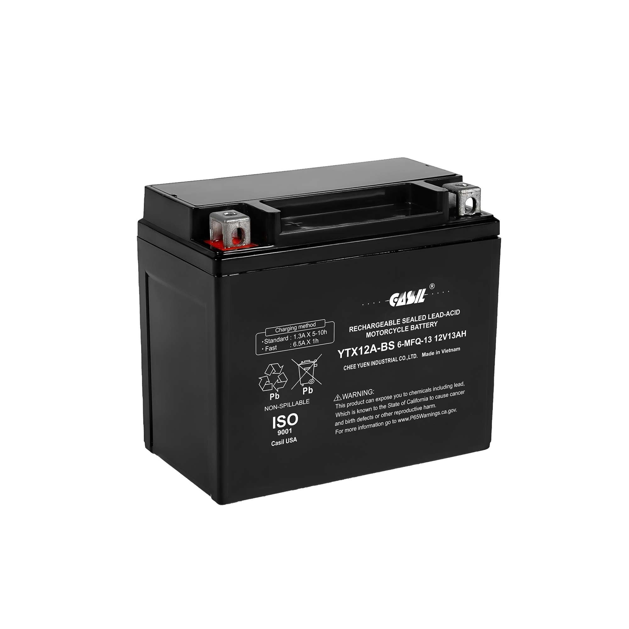 CASIL YTX12A-BS Replacement Power Sports Battery for Motorcycles, ATV's, and Scooters