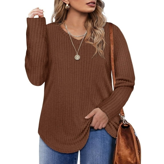 CASSIE LIZ Womens Plus Size Tops 3X Elegant Brown Striped V-neck T-shirts Fall and Winter Classic Solid Long Sleeve Warm T-shirt 3XL 22W 24W