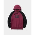 thumbnail image 1 of CAT® WORKWEAR Men's Colorblock Raglan Hoodie, 1 of 2