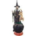 thumbnail image 1 of CAT-TASTROPHE CAULDRON W FOG, 1 of 1