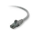 thumbnail image 1 of CAT6 patch cable RJ45M/RJ45M 2ft black, 1 of 1