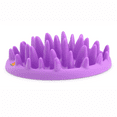 thumbnail image 1 of CATCH Interactive Feeder, 1 of 5