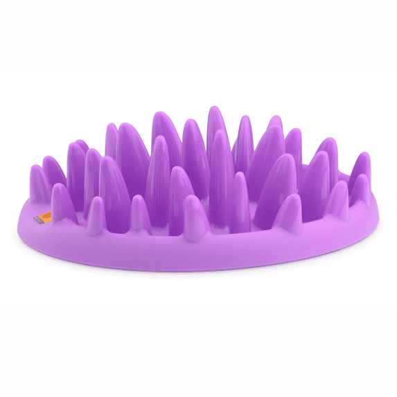 CATCH Interactive Feeder