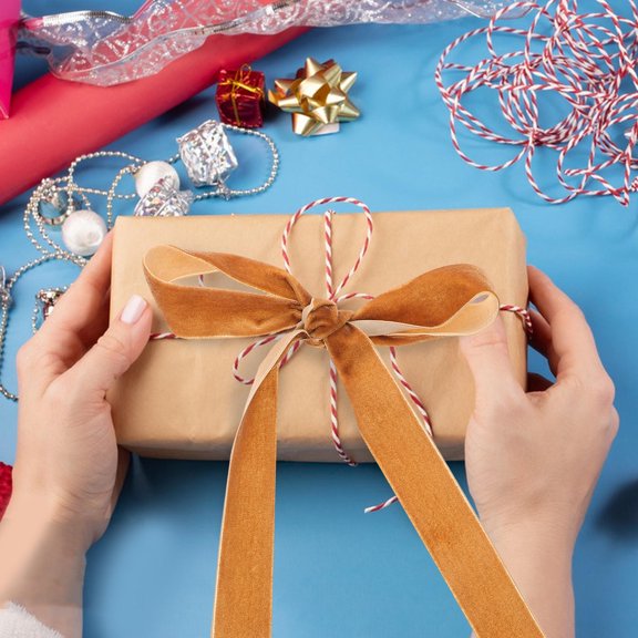 CATIEBYE 1 Roll of Wrapping Ribbon for Presents Flocking Plush for Craft Projects