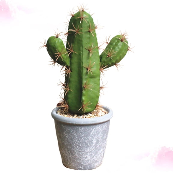CATIEBYE Artificial Cactus Bonsai Simulated Plants Tropical Decor Fake Cactus Decor 9.4x9.4x9.4in 1Pcs