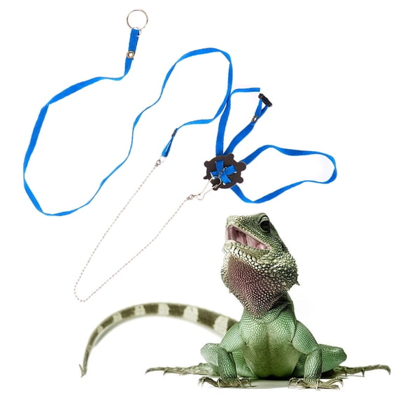 CATIEBYE Blue Reptile Harness Leash Adjustable Outdoor Training Strap for Turtle and Lizard