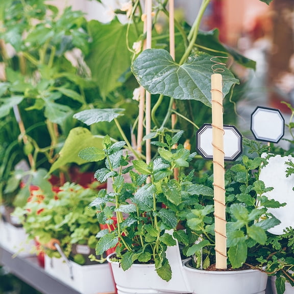 CATIEBYE 1Set Copper Wire Gardening Antenna with Coil Winding Fixture for Plant Decoration