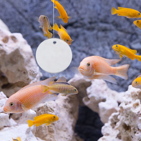 CATIEBYE Fish Tank Decorations Betta Fish Mirror For Promoting Physical Activity 1Pcs