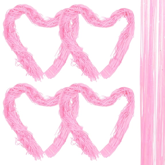 CATIEBYE Fringe Curtains 4pcs Plastic Photo Booth Props Party Decorations