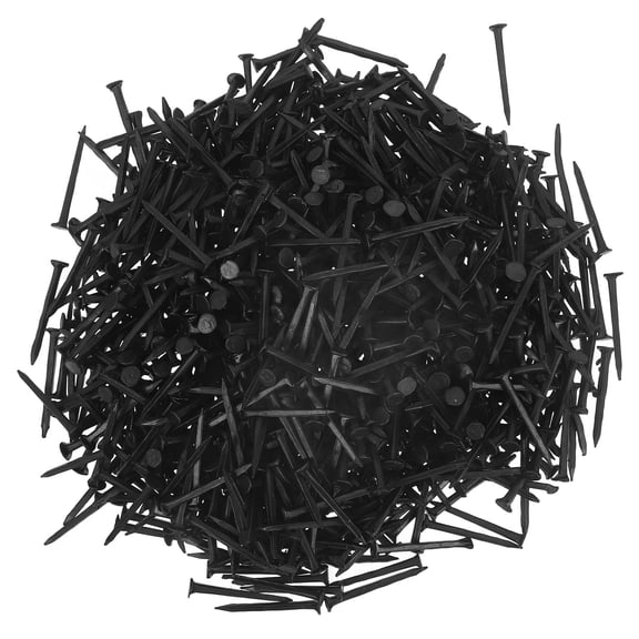 CATIEBYE Tack Nails for Shoes Sturdy Iron Material Nails for Repair and Sole Protection