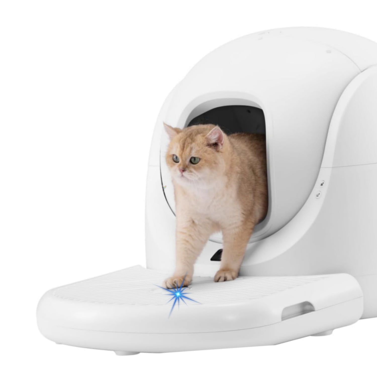 CATLINK Ramp for Scooper-SE, Not Suitable for Scooper Young & Prox