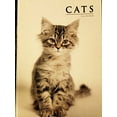 thumbnail image 1 of Pre-Owned CATS Paperback, 1 of 1