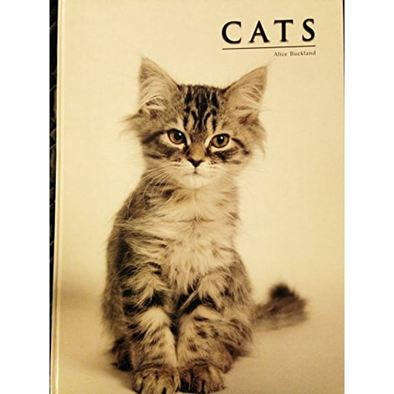 Pre-Owned CATS Paperback