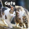 thumbnail image 1 of CATS, 1 of 1