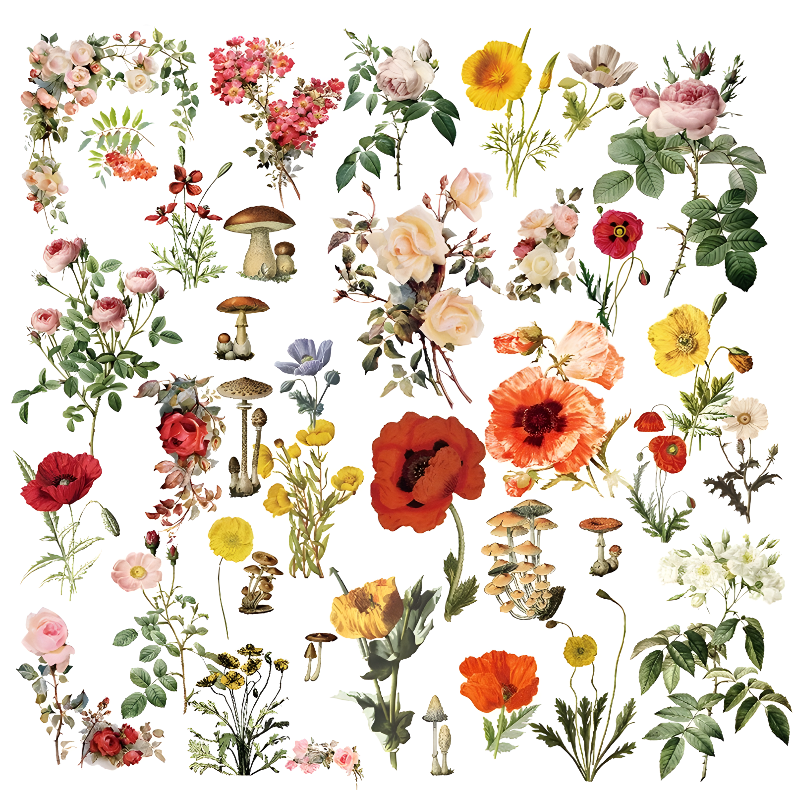 CATaireen Vintage Vellum Stickers Floral Plants Elements Scrapbooking ...