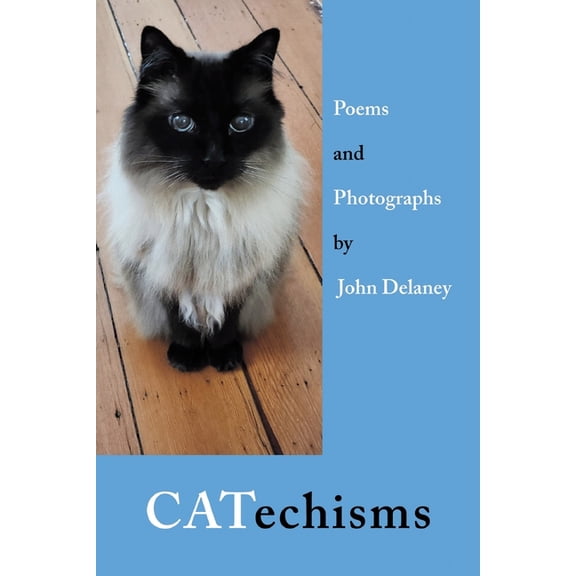 CATechisms, (Paperback)