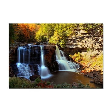 CATeyes 'Motion' Canvas Art