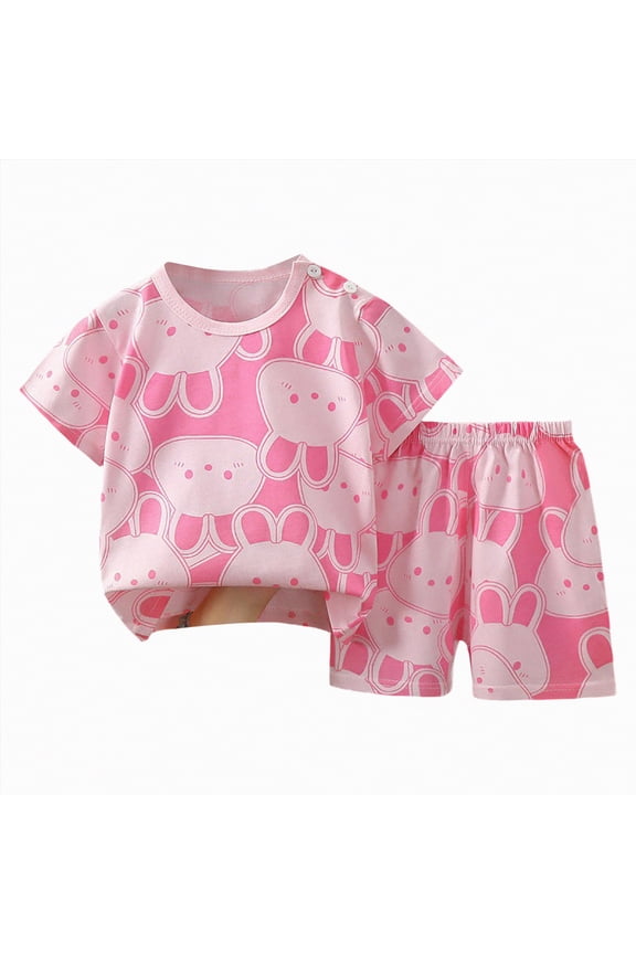 2T 3T Toddler Girls Summer Cute Outfit Set Baby Girl Butterfly and Floral Print Top + Bowknot Shorts Set for 4T 5T 6T Kids 2 Piece Pajamas Set 12M 18M (Sizes 3-4 Years,D1-Pink)
