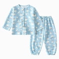 thumbnail image 1 of CAUYDY 2T-5T Child Girl Sleepers Baby Clothing Fall Winter Long Sleeved T-Shirt Elastic Waist Pants 2Pcs Set Toddler Outfits Little Kid Pajamas for Girls Sizes 3-4 Years,Sky Blue, 1 of 6