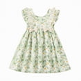 thumbnail image 1 of CAUYDY Toddler Girl Dress Casual Summer Floral A-Line Fairy Sundress for Kids Girls Outfits Birthday Wedding Party 2T 3T 4T 5T (Sizes 3-4 Years,D1-Green), 1 of 9