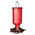 CB & Sons Humming Bird Elixir Feeder Attracts Hummingbirds All Season