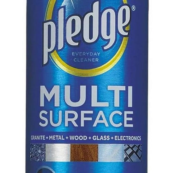 CB724166 Multi-Surface Everyday Aerosol Rainshower 9.7Oz