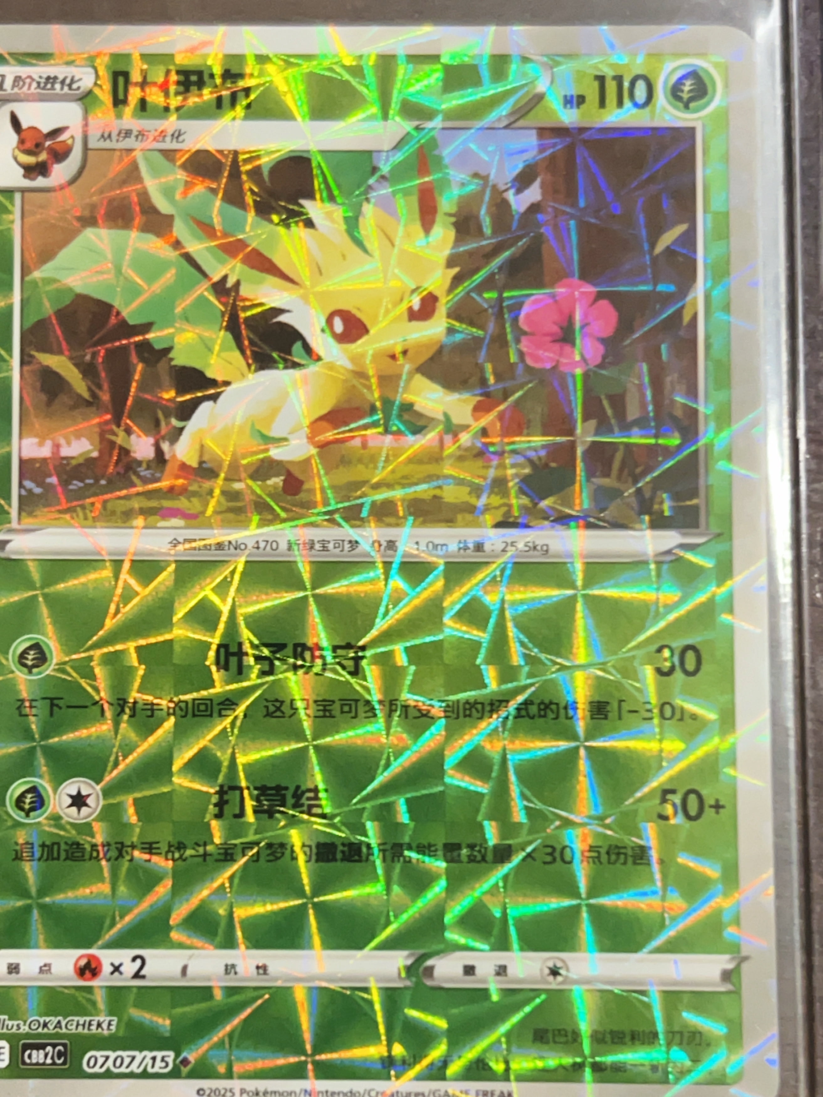 Leafeon Card Leafeon Card