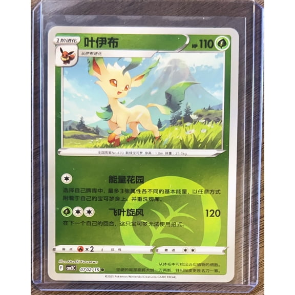 CBB2C: Gem Pack Vol. 2 Simplified Chinese Leafeon Secret Rare #0702/150