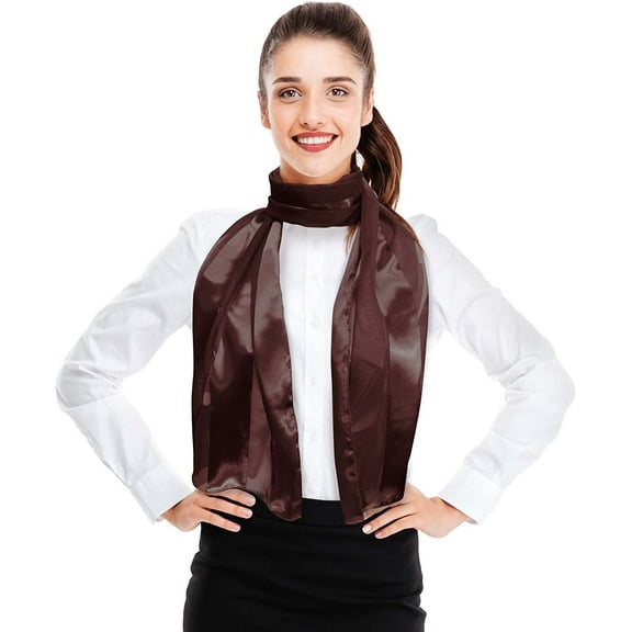 CBC Crown Women's Silk Feel Solid Color Satin Striped 13" x 60" Fashion Shawl Scarf