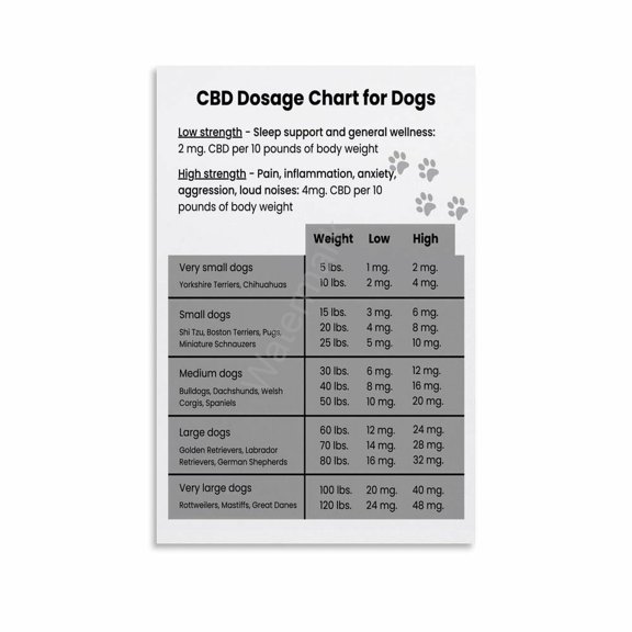 CBD1 Dosage Chart for Dogs Poster Canvas Painting Wall Art