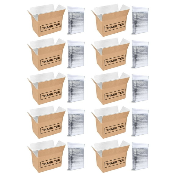 CBEHTWI Chill Insulated Shipping Boxes with Aluminum Foil Liner, Cold Shipping Boxes, Mailing Boxes, Food Delivery Carton Box, Travel Packing Carton Supplies (10Pcs, S/M/L/XL)