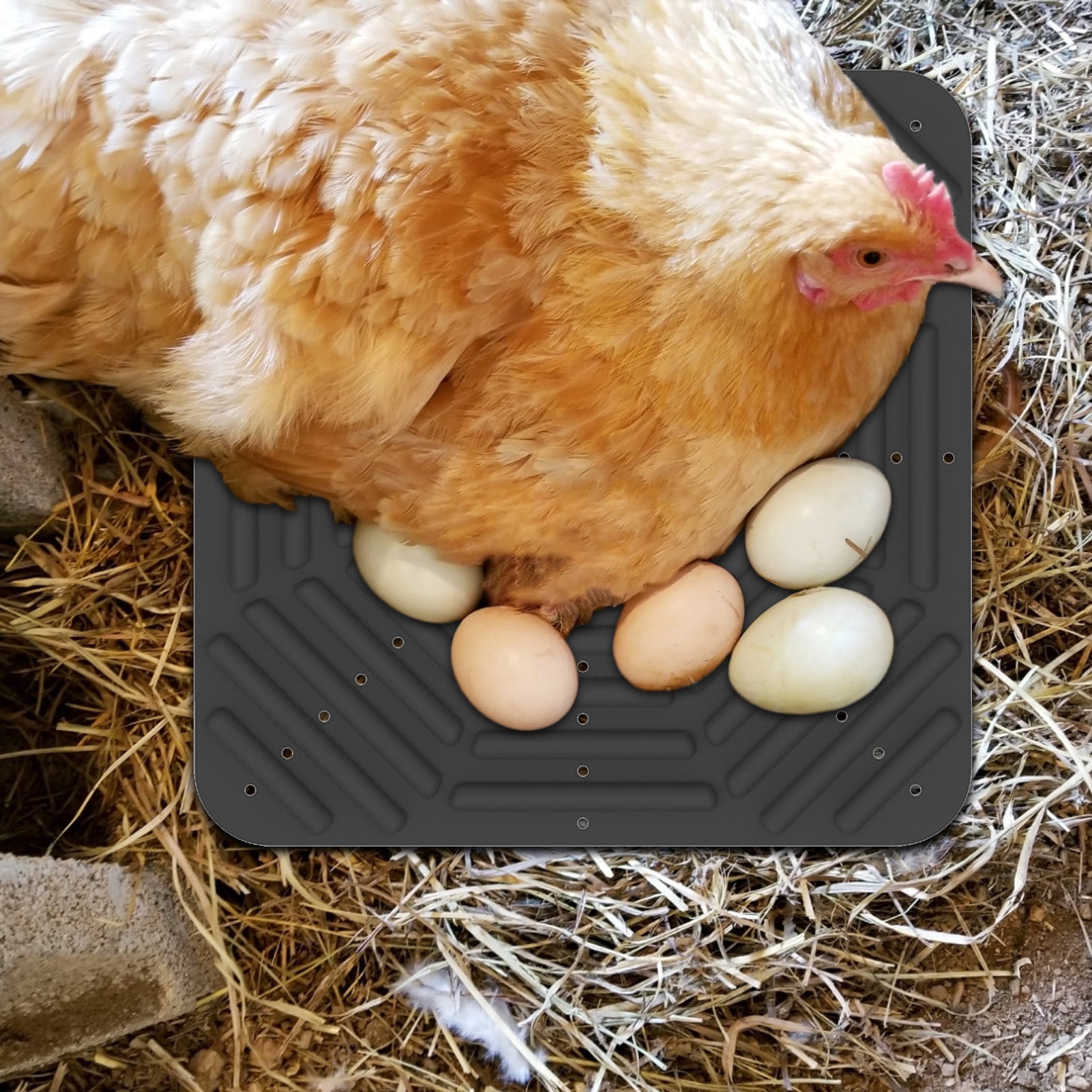 CBFFDC Washable Chicken Nesting Pad Washable Chicken Nesting Pad Soft