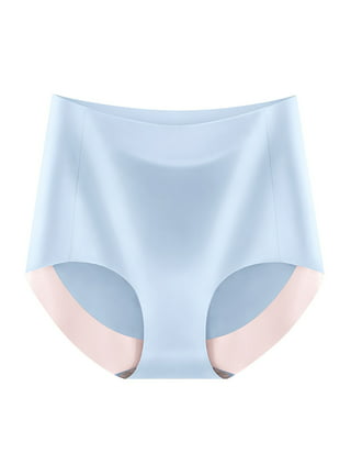 Buy Nightaste Women's Seamless Briefs Pack of 5 Ice Silk Panties Mid-Rise  No Show Underwear (L, Multi1) at