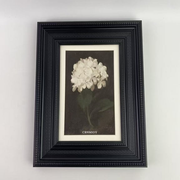 CBNMIOY Print engravings,Floating Framed Wall Art Canvas Prints, Vintage White Hydrangea Oil Paintings Pictures Wall Decor, Elegant Floral Poster Art