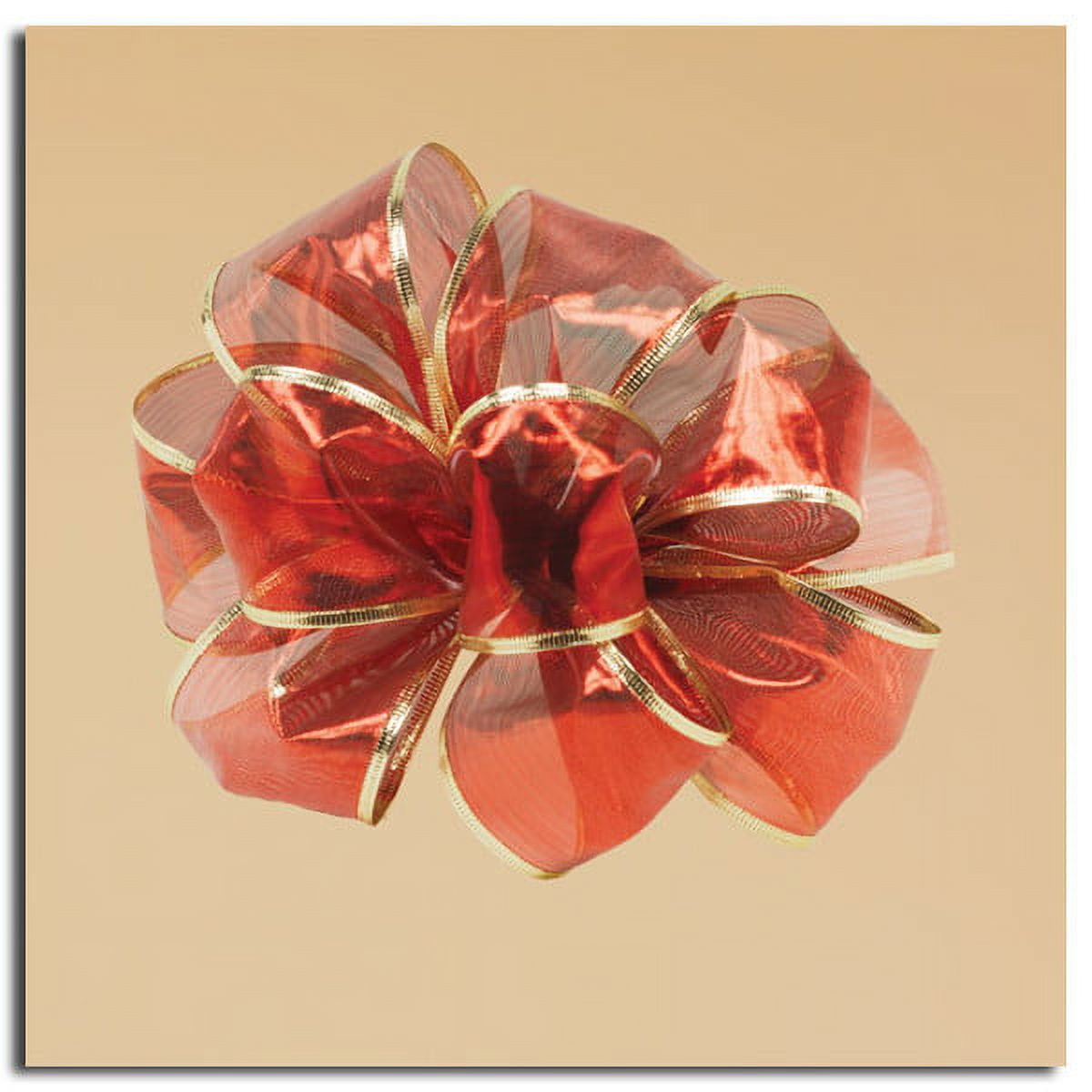 CC Christmas Decor Sheer Red Luxurious Gold Edged Gift Boxed Wired Craft Ribbon 2.5" x 10 Yards
