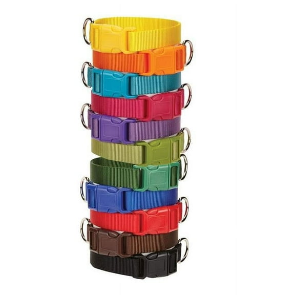 PetEdge 10 x 6 in. Nylon Dog Collar, Yellow