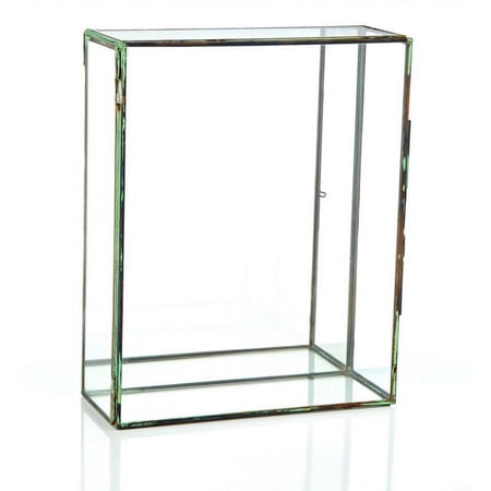 10" Clear and Brown Contemporary Terrarium Rectangular Glass Tabletop Decor