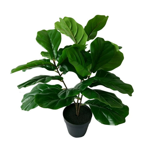 CC Home Furnishings Round Potted Artificial Fiddle-Leaf Tree - 23.5" - Green
