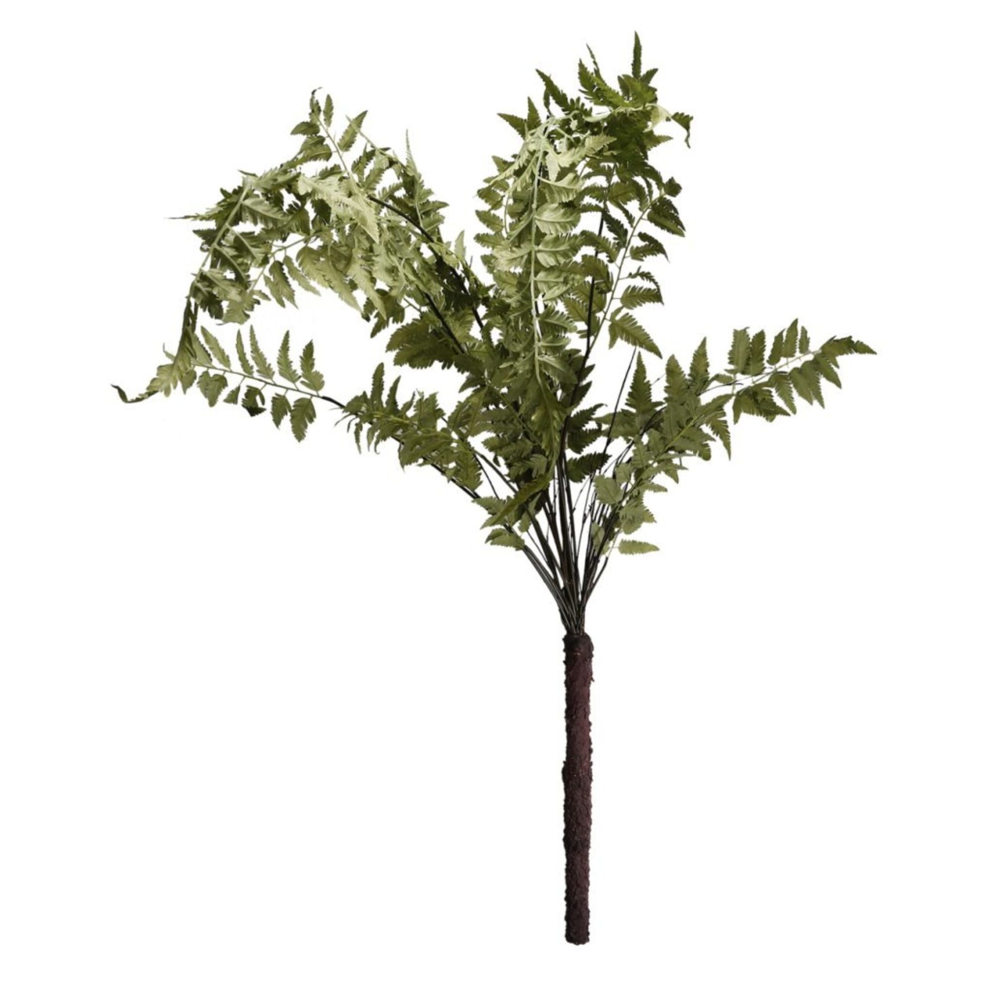 60" Green and Brown Artificial Fern Bush with Plastic Leaves