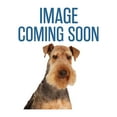 thumbnail image 1 of Casual Canine CC Patterns Lead Bone 6Ftx1In Red, 1 of 3