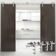 thumbnail image 1 of CCJH Stainless Steel 6.6FT Sliding Barn Door Hardware Kit Fit 19.8 Width Double Door Y-Shaped Silver, 1 of 10