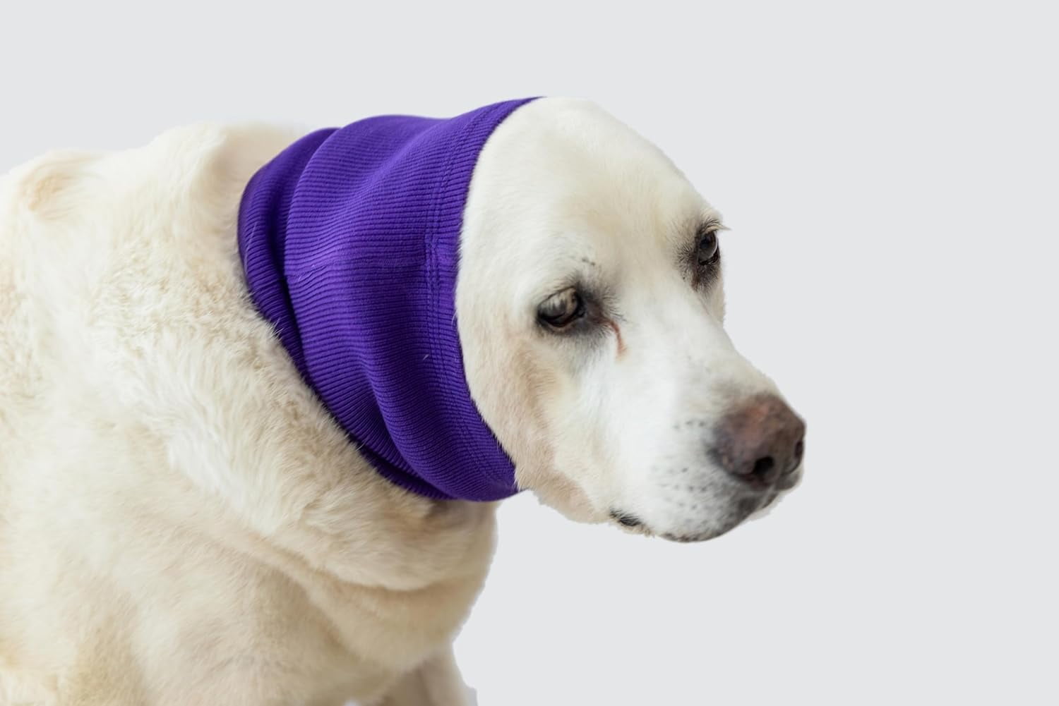 CCJR Ear Hematoma Dog, Eog Ear Wrap Hematoma Ear Wrap Snood Noise